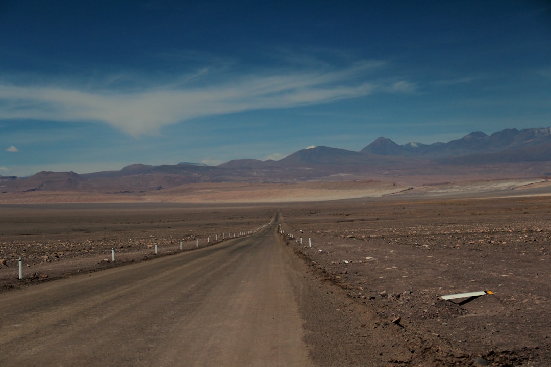 A dirt road in the middle of a desert