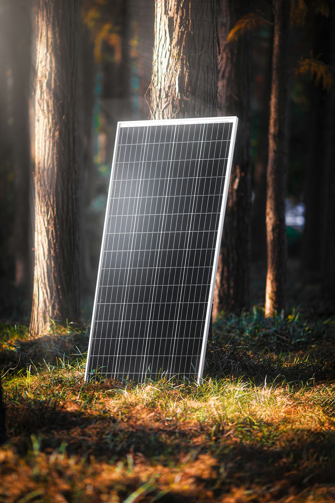 Panel solar para off-grid