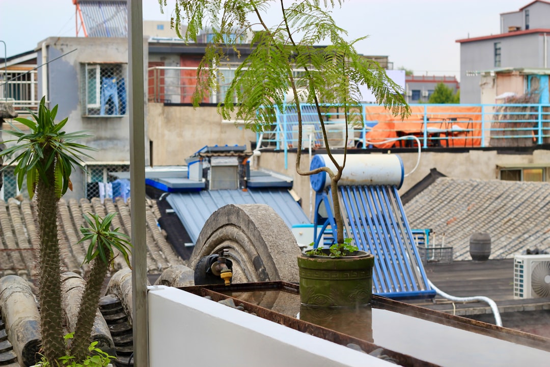 Rooftop with solar water heaters and potted plants.