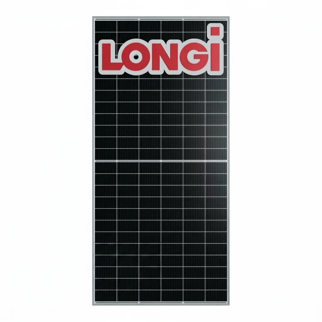Panel Solar bifacial 650Watts LONGI