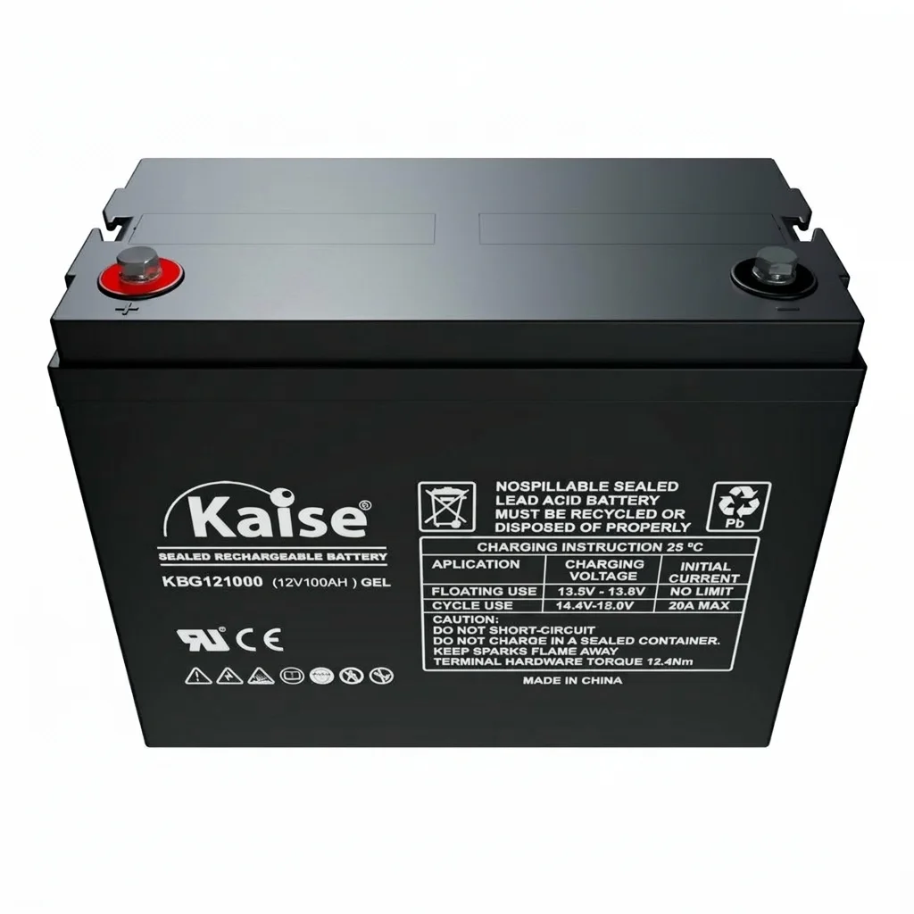 Batería de GEL 100Ah 12V Kaise